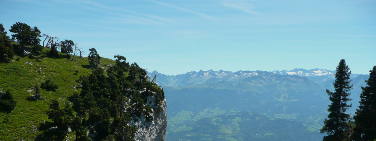 Balisage